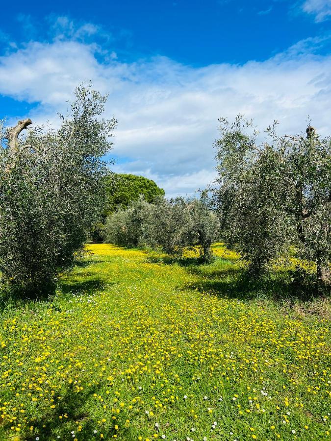 B&B Valle D'Oro Анседонія Екстер'єр фото